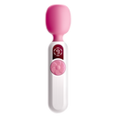 EROCOME - PISCISAUSTINUS 南魚座 AV震動棒