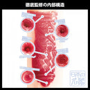 SSI Japan(日本) 日本の名器 乙愛麗絲 (乙アリス) 自慰杯