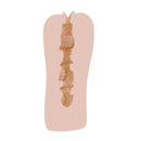 FALENO(日本) STAR HOLE 小野夕子 飛機杯