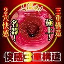 NPG(日本) 榮譽之名器 2 森日向子 自慰杯