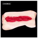 NPG(日本) 日本之若妻 高潮濕潤之名器 新井里真 (新井リマ) 自慰杯