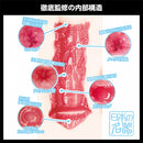 SSI Japan(日本) 日本之名器 (小月芽衣) さつき芽衣 飛機杯