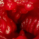 NPG(日本)霧島櫻 (霧島さくら) 名器偷情淫妻的淫汁 飛機杯