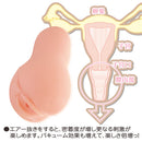 Toys Heart(日本) 17歲 EVO 進化版 新版 飛機杯