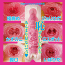 NPG(日本) 100%真實 浜崎真緒 自慰杯