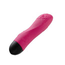 Fun Factory(德國) Spring 按摩器 - FM18plus 