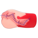 Magic Eyes(日本) 極彩名器 小紅帽子宮 Moon Shot 飛機杯