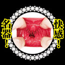 NPG(日本)美人女僕 樞木葵(枢木あおい)立即插入飛機杯