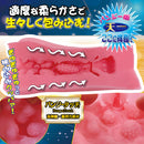 Ride Japan(日本) 天下一穴 彈性觸碰 飛機杯