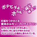 Toys Heart(日本) 快姦~ 讓我懷孕吧~ 自慰杯