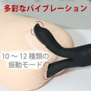 JAPAN TOYZ Cat Punch 雙頭震動棒