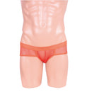 STARFIRE(日本)EROX 男士性感網狀內褲系列